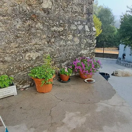 Guest house Casa Clementina *
