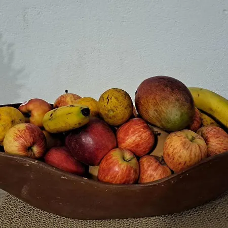 Casa Clementina Marques